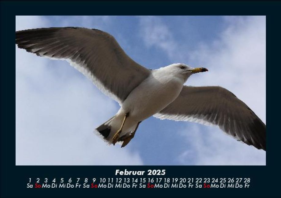 additionalImage6