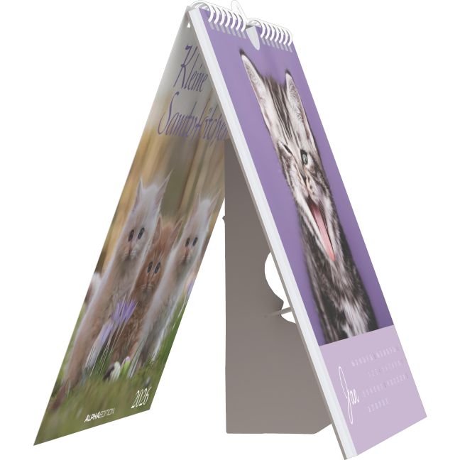 additionalImage4