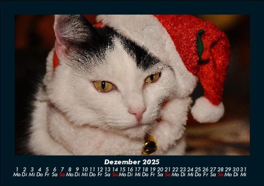 additionalImage4