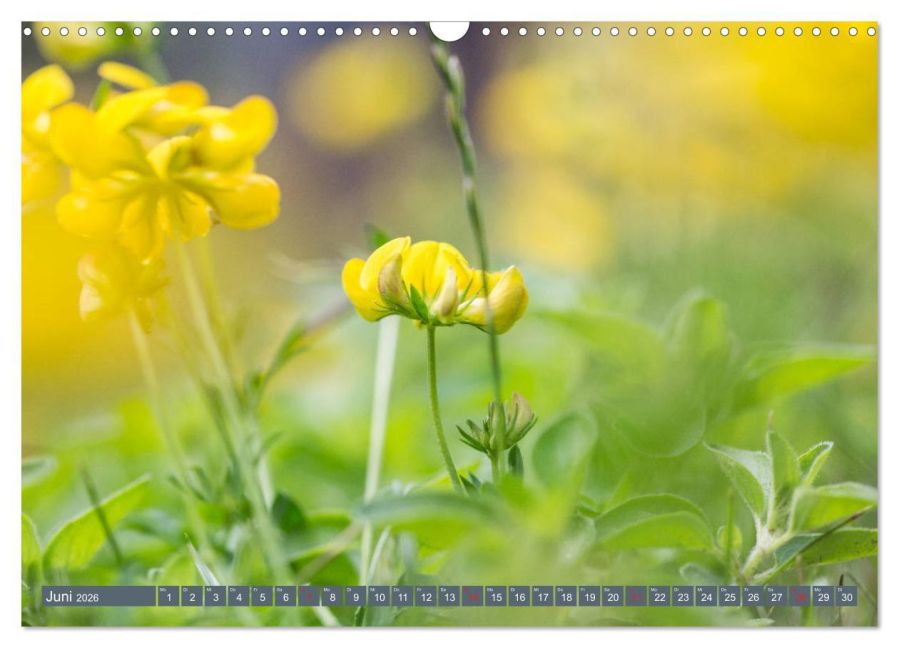 additionalImage11