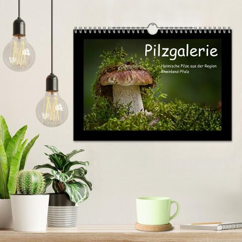 additionalImage1