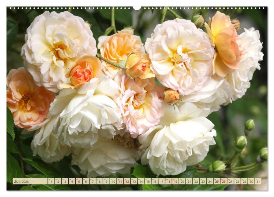 additionalImage12