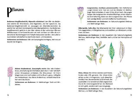 additionalImage6