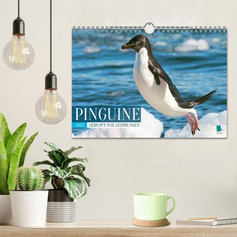 additionalImage1