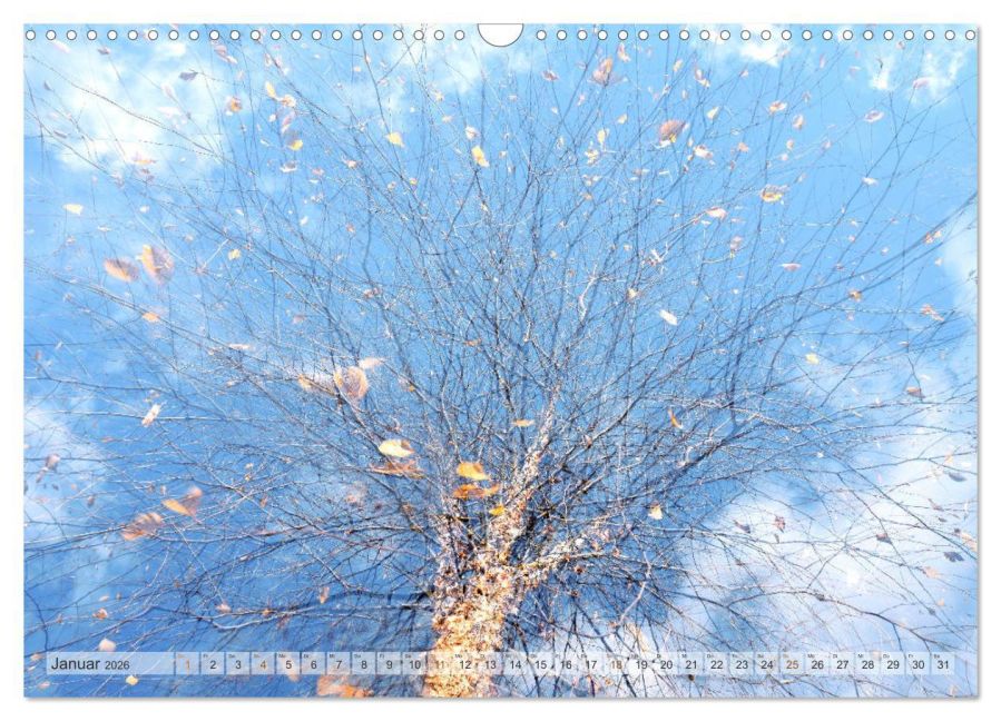additionalImage6