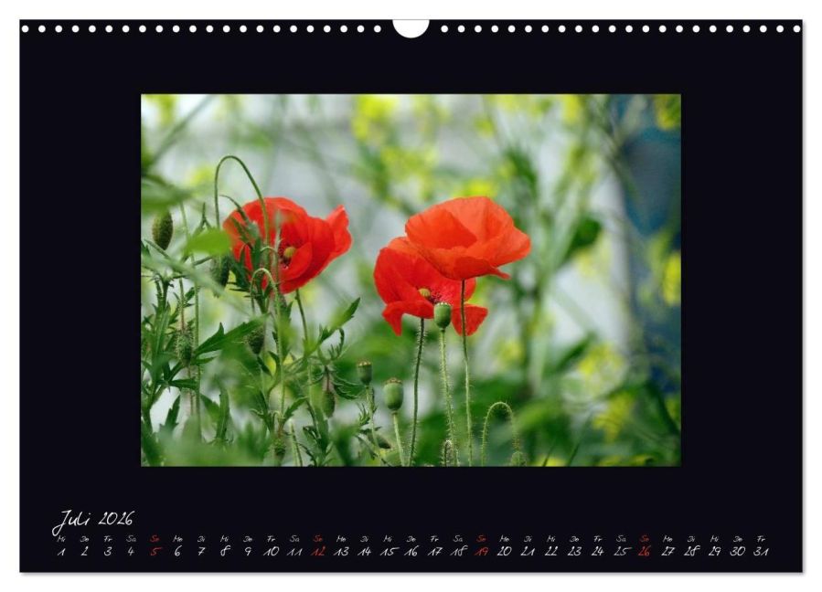 additionalImage12