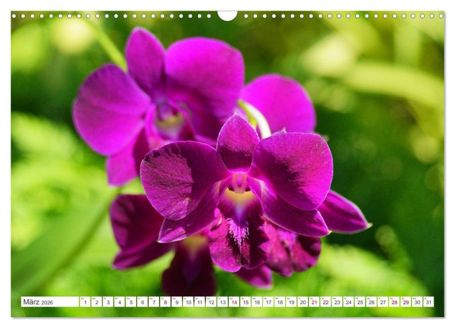 additionalImage8