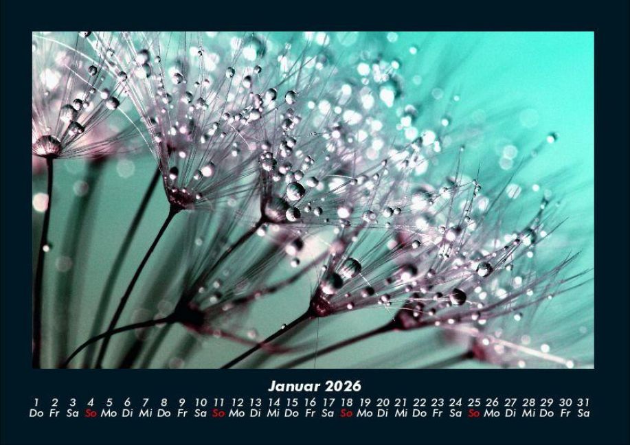 additionalImage5