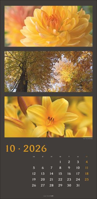 additionalImage10