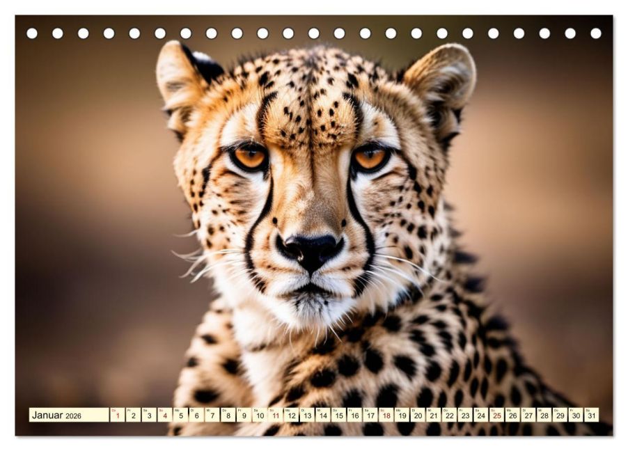 additionalImage6