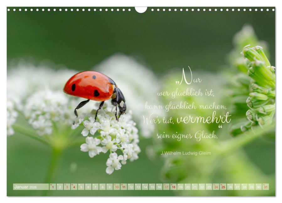 additionalImage6