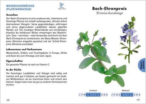 additionalImage2