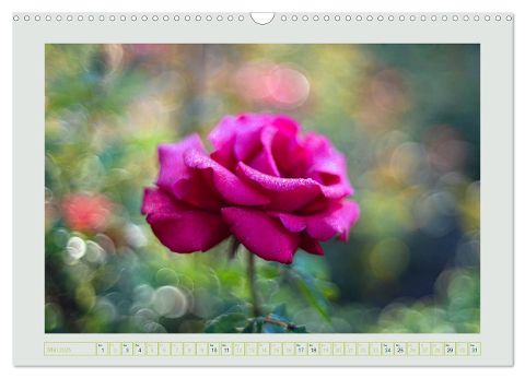 additionalImage10