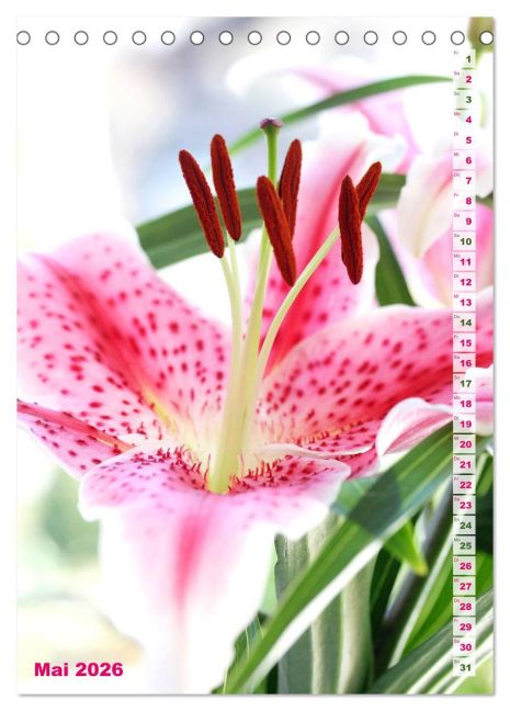 additionalImage10