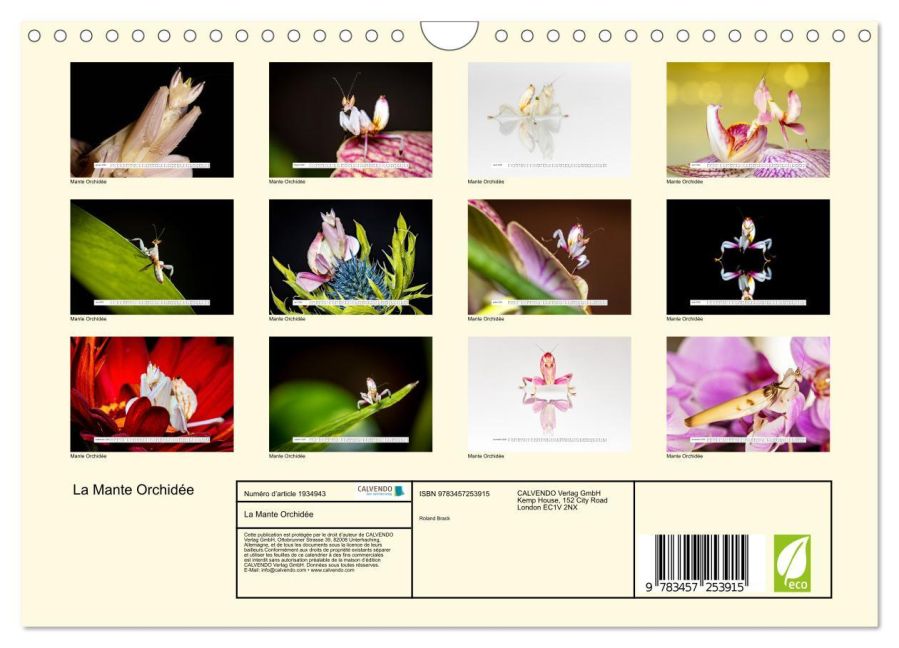 additionalImage5