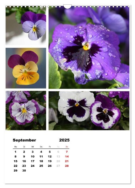 additionalImage14