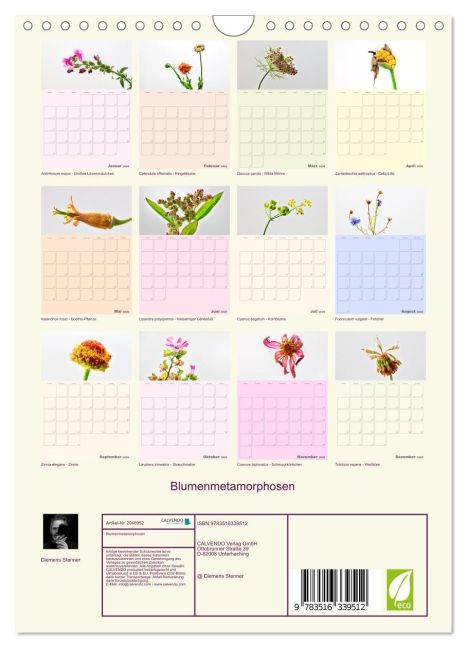 additionalImage5