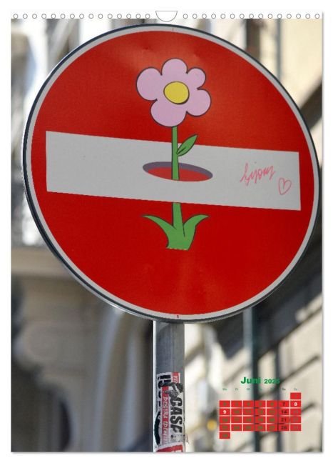 additionalImage11
