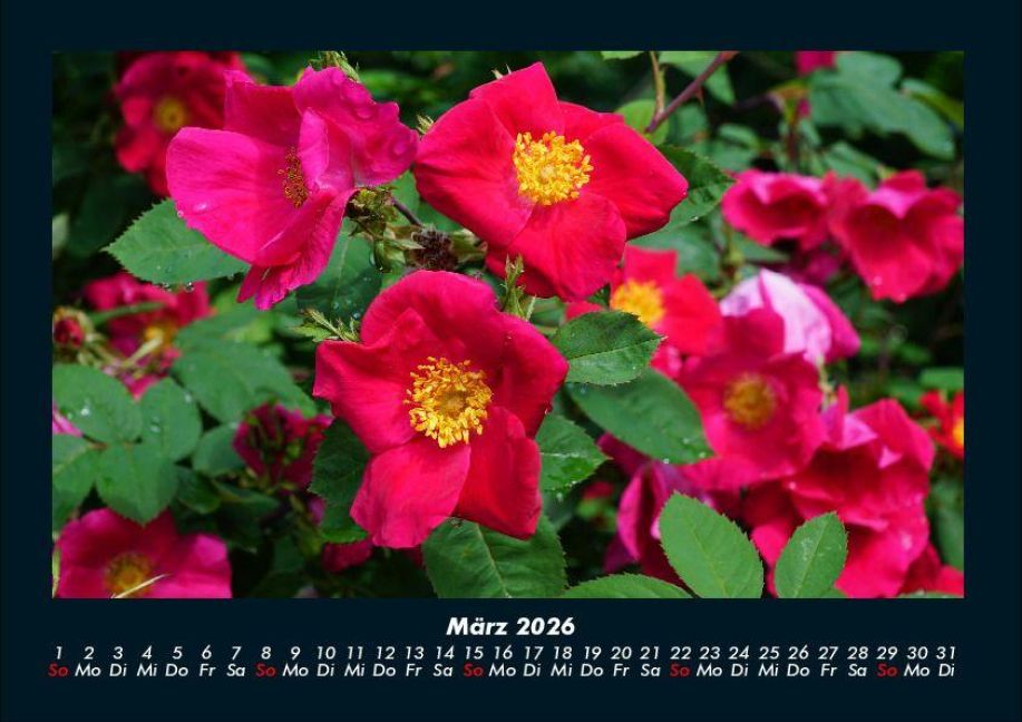 additionalImage7