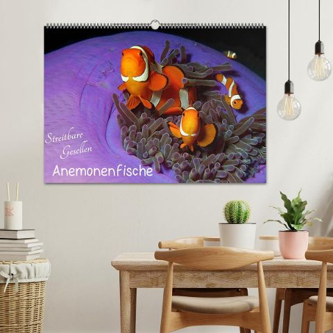 additionalImage1
