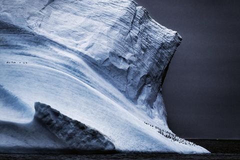 additionalImage3