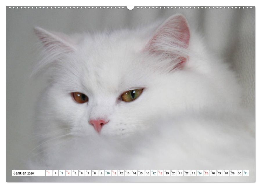 additionalImage5