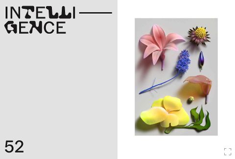 additionalImage5
