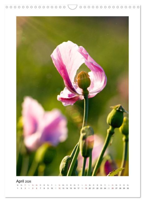 additionalImage9