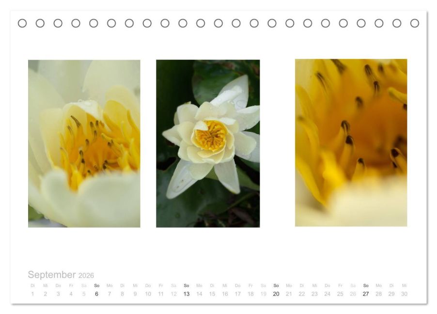 additionalImage14