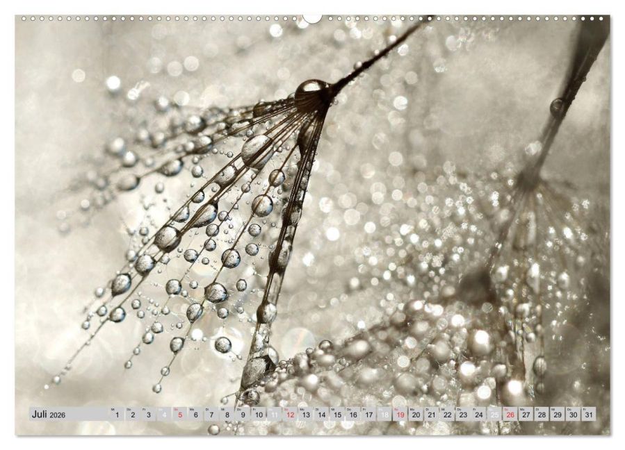 additionalImage12