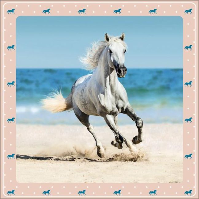 additionalImage5