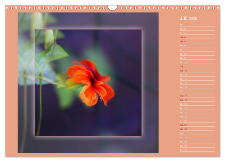 additionalImage12