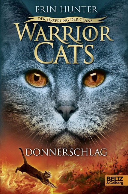 Warrior Cats Staffel 502 Der Ursprung Der Clans