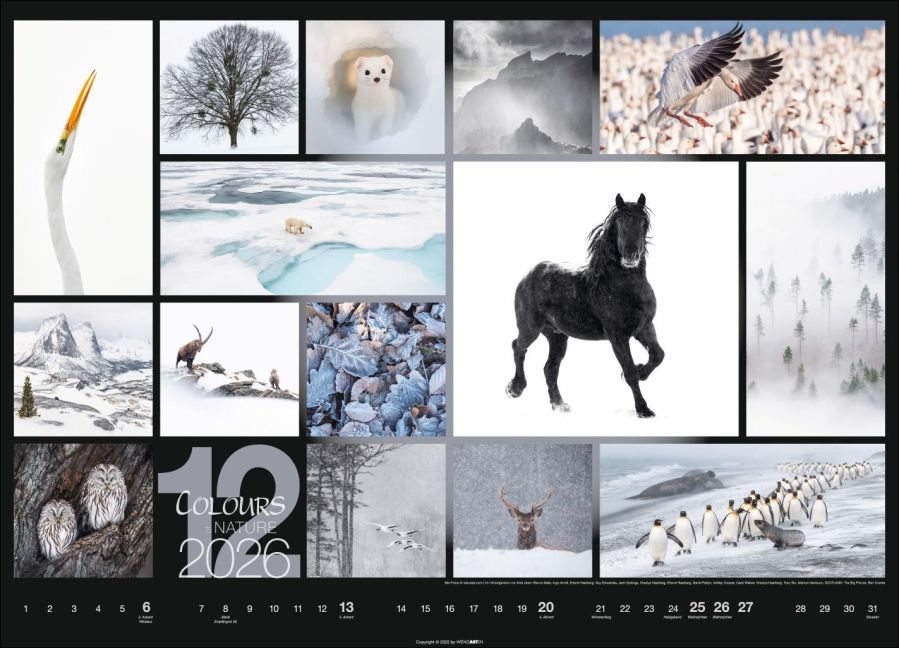additionalImage11
