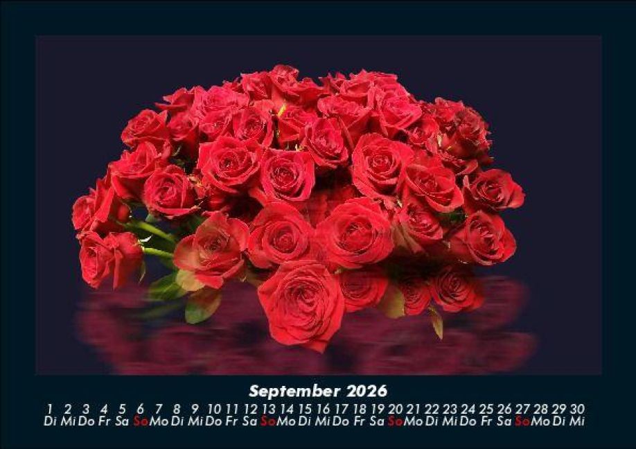 additionalImage1