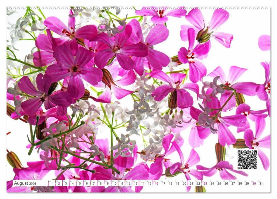 additionalImage12