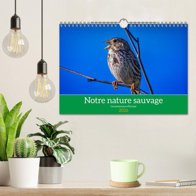 additionalImage1