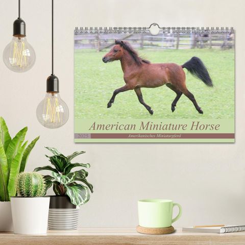 additionalImage1