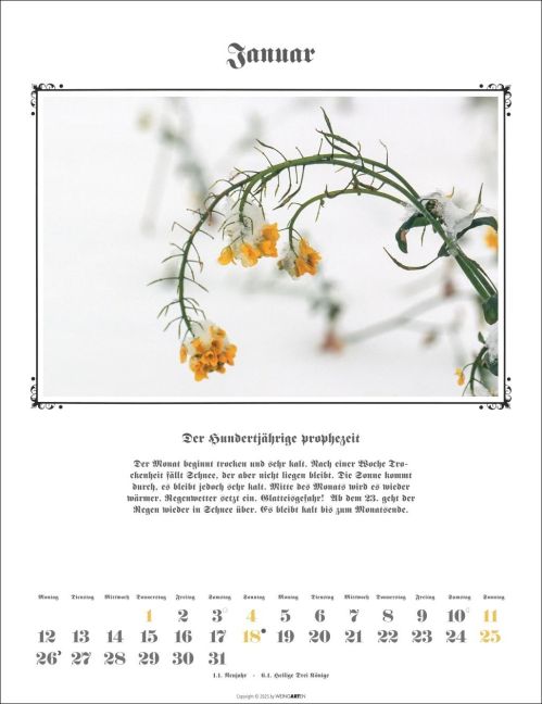 additionalImage1