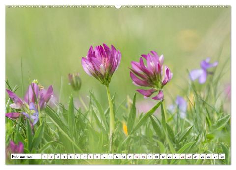additionalImage6