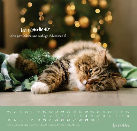 additionalImage12