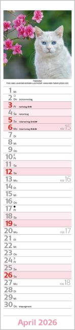additionalImage4