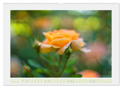 additionalImage7