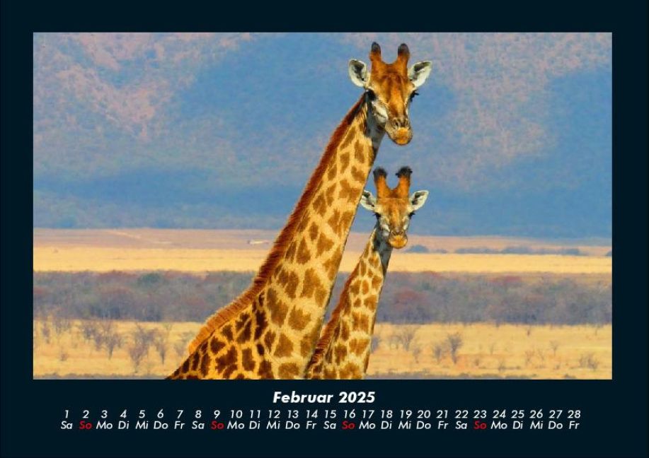additionalImage6