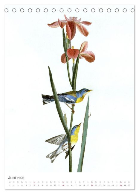 additionalImage11