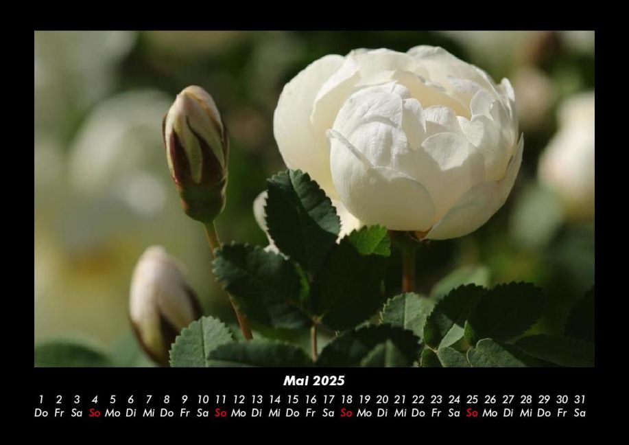 additionalImage9