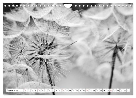 additionalImage6