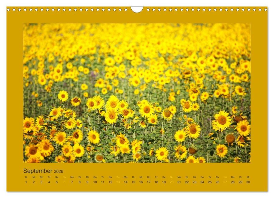 additionalImage14
