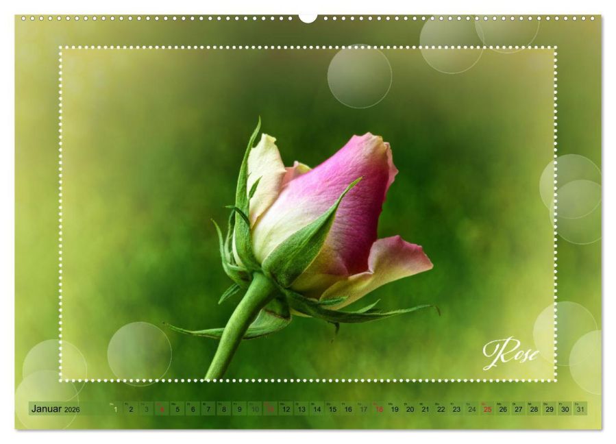 additionalImage5