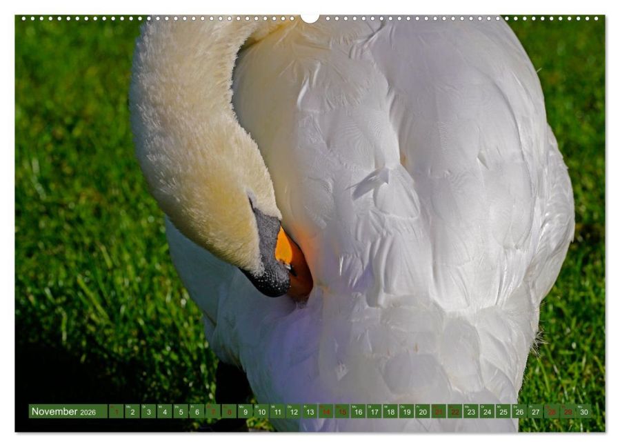 additionalImage2